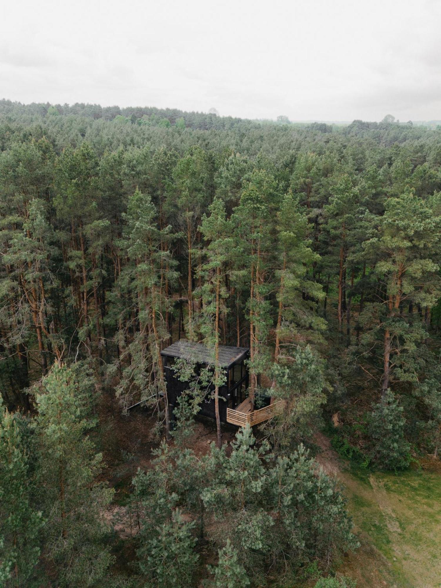 Treehouse Virs Bedugnes Villa Jurbarkas Exterior photo